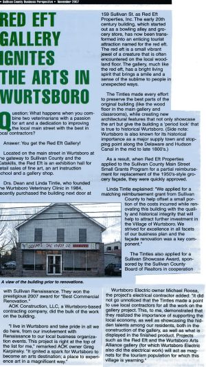 Wurtsboro Electric wires Red Eft Gallery